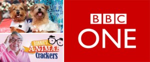 issi-greig-photography-and-direction-animal-crackers-bbc-one
